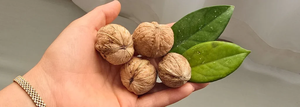 گردو با پوست