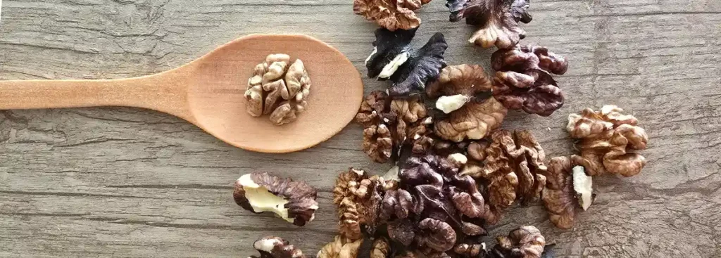 گردو فسنجونی