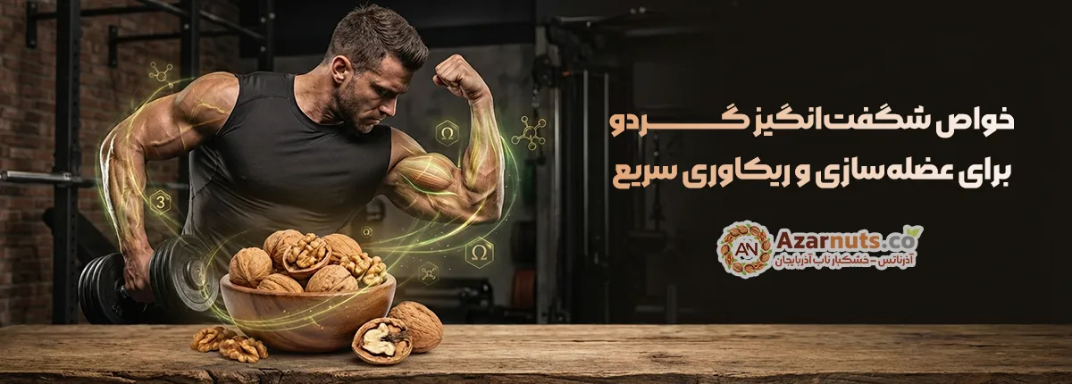 خواص گردو برای بدنسازان